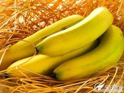 香蕉 营养价值、选购技巧与森威农产品代购服务介绍