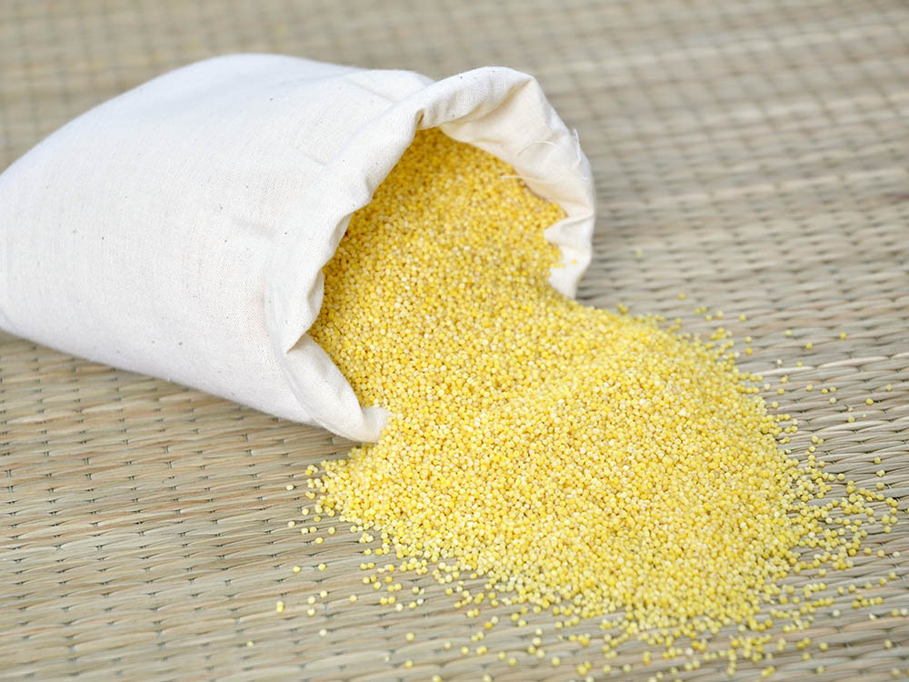 谷道粮原有机小米 来自内蒙古沙地的自然馈赠