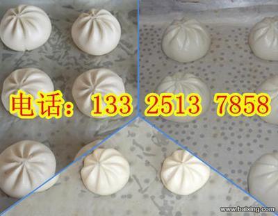 探秘最新型包包子机 多功能包子机厂家盘点与小笼包子机价格解析